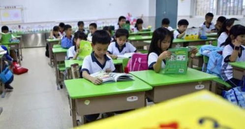 課后延時服務 從“看護”到“提質”，如何讓制度更成熟？